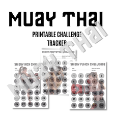 30 day muay thai printable challenge Picture